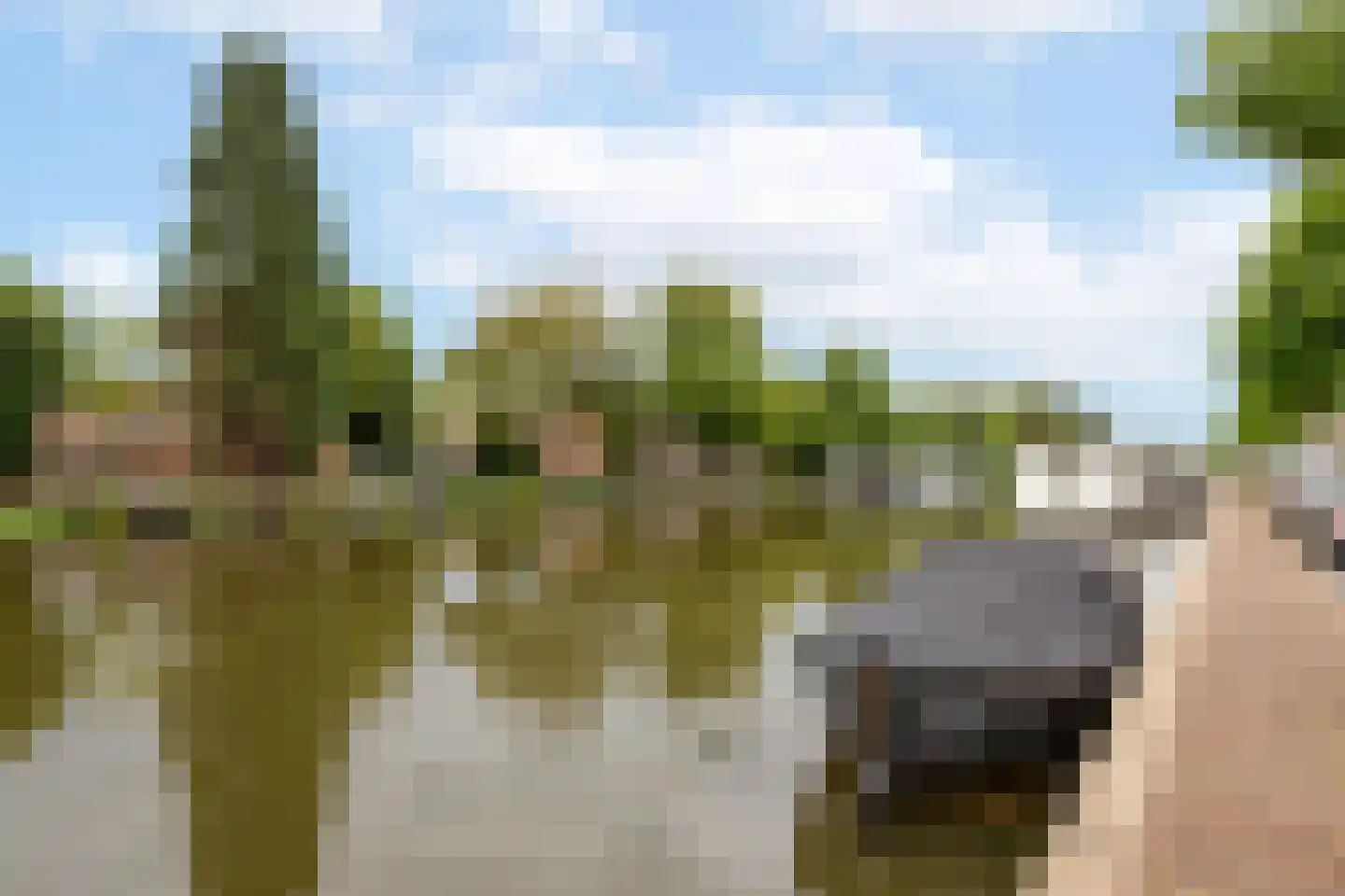 Crabethpark 7 Gouda thumbnail 47