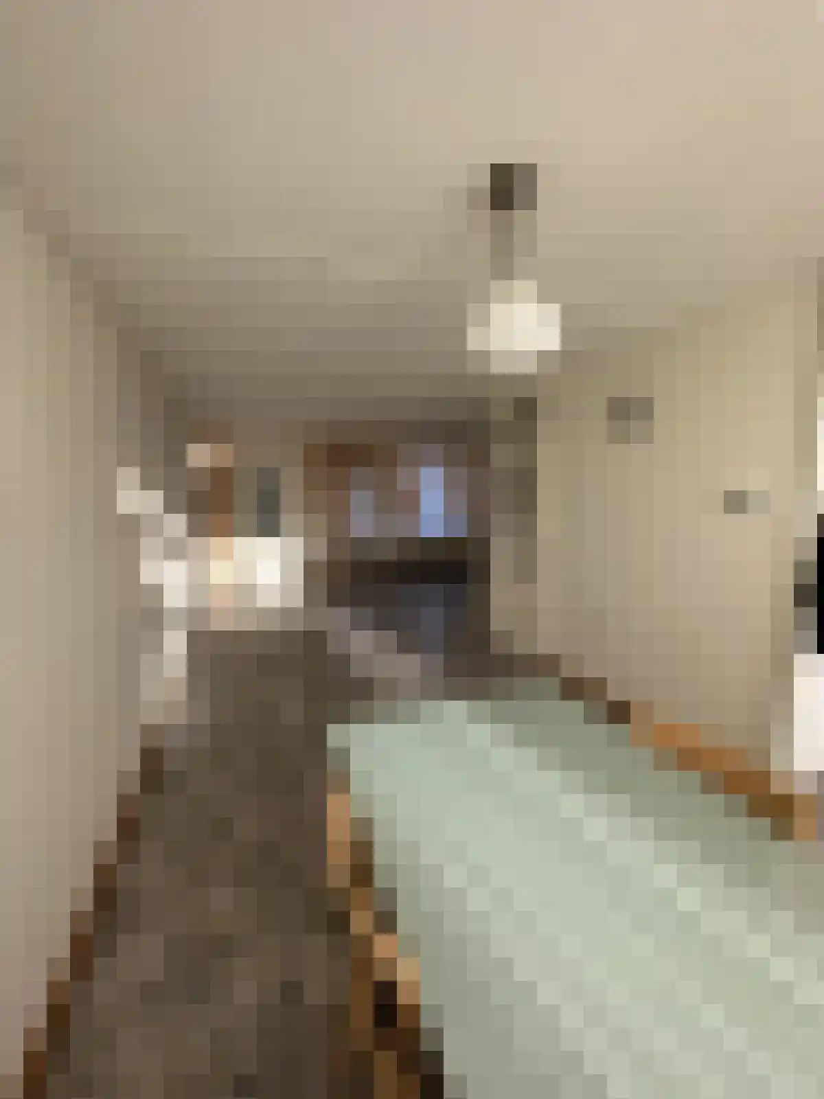 Crabethstraat 11 Eindhoven thumbnail 5