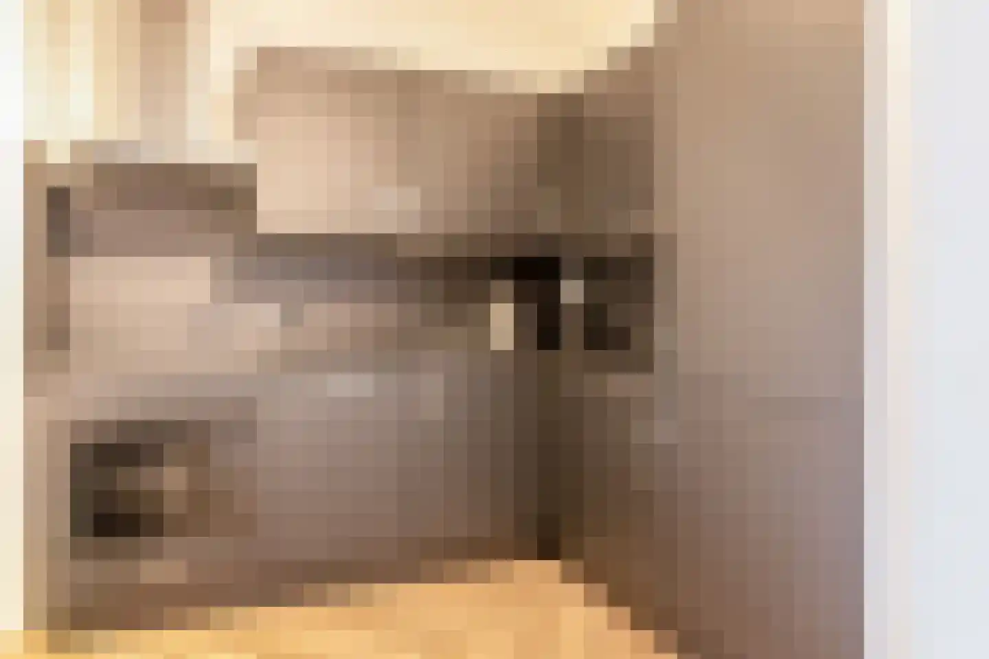 Crabethstraat 5 D Eindhoven thumbnail 21
