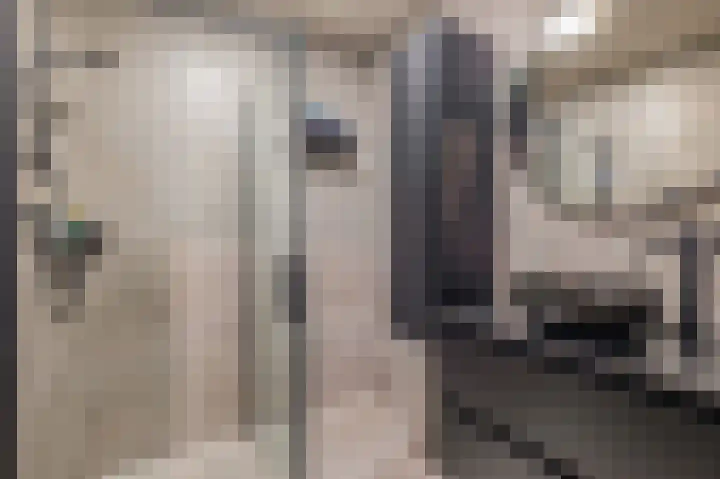 Crabethstraat 5 D Eindhoven thumbnail 26