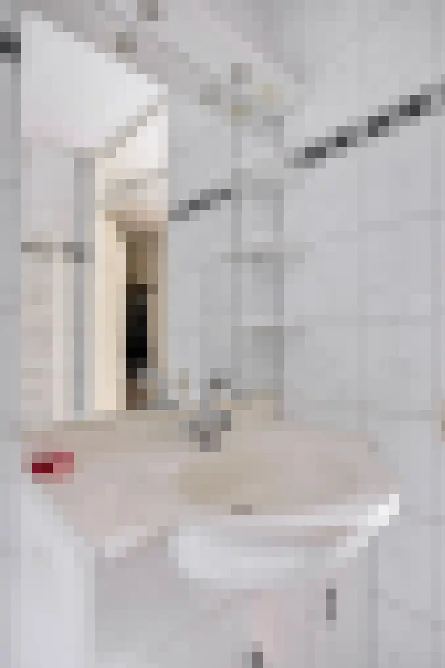 Crabethstraat 5 Eindhoven thumbnail 16