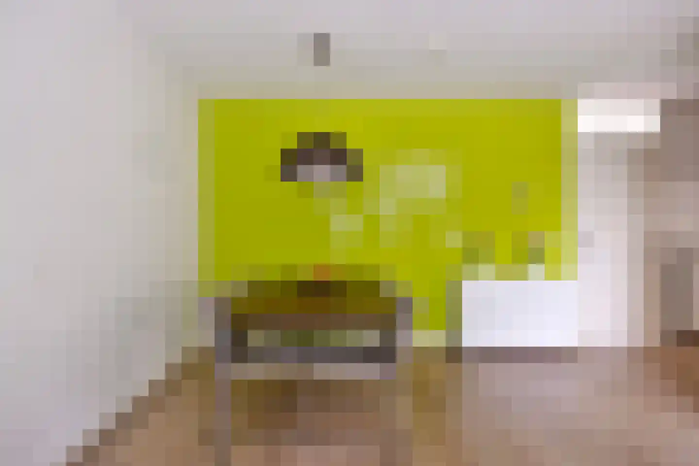 Crabethstraat 5 Eindhoven thumbnail 25