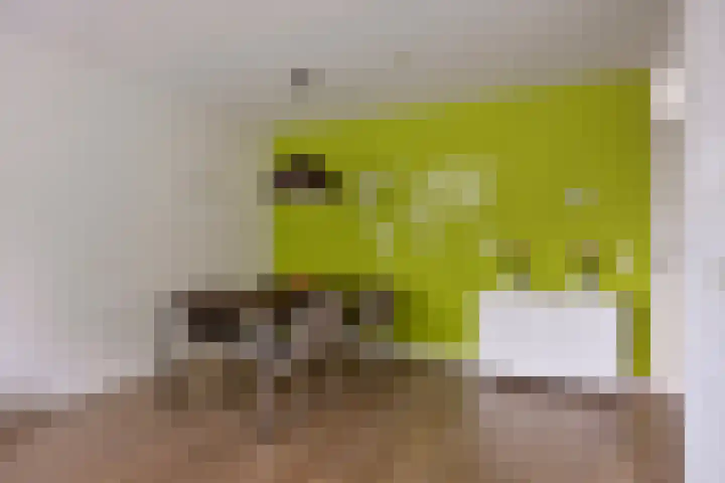 Crabethstraat 5 Eindhoven thumbnail 26