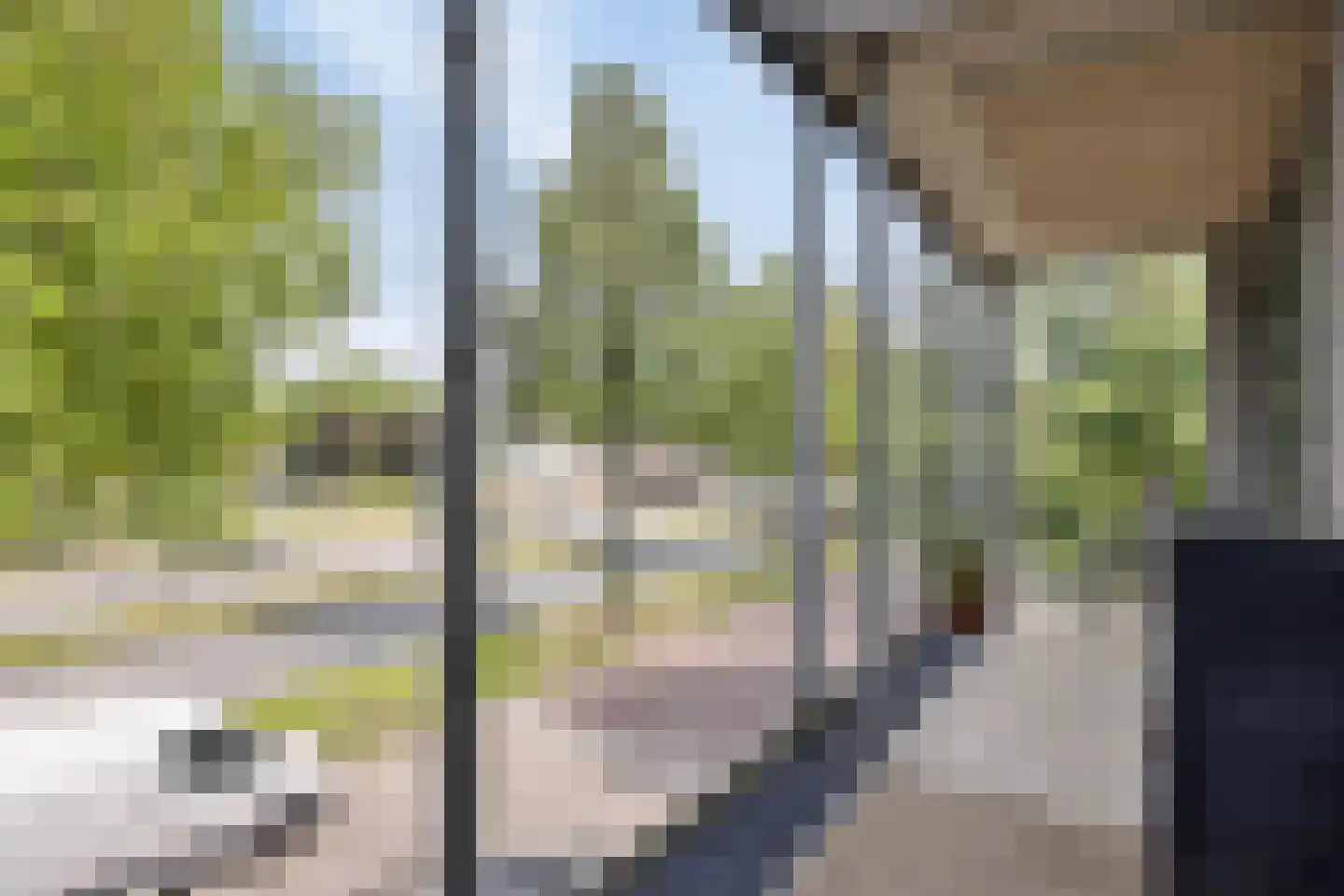 Crabethstraat 5 Eindhoven thumbnail 35