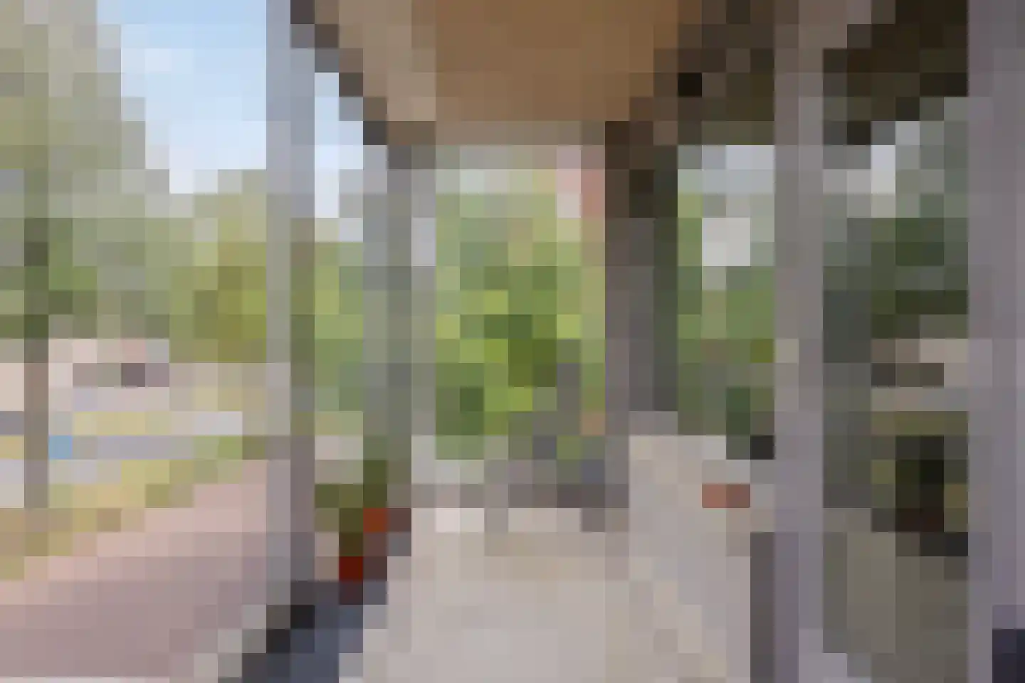 Crabethstraat 5 Eindhoven thumbnail 36