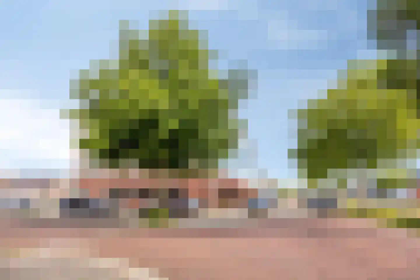 Crabethstraat 5 Eindhoven thumbnail 49