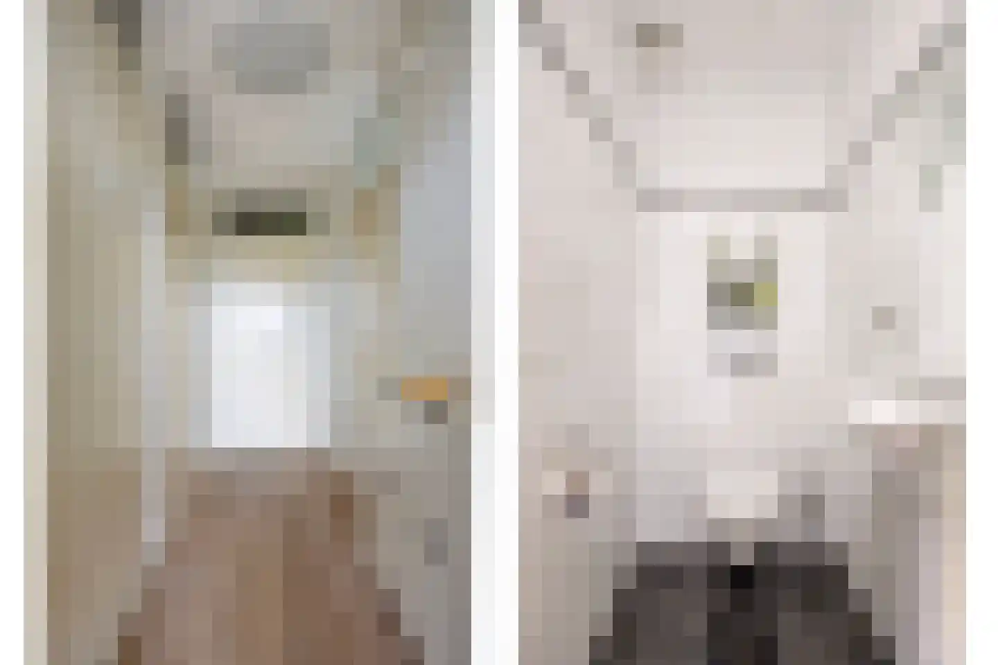 Crabethstraat 5 Eindhoven thumbnail 9