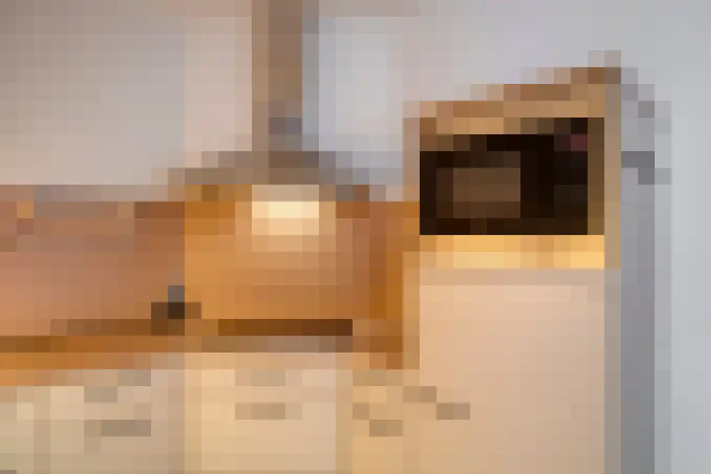 Crabethstraat 7 G Eindhoven thumbnail 13