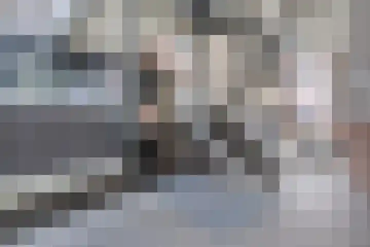 Crabethstraat 9 B Eindhoven thumbnail 8