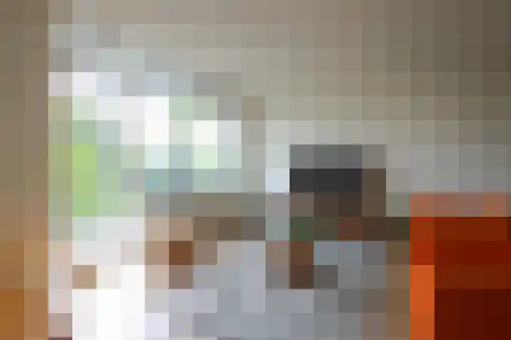 Crabethstraat 9 E Eindhoven thumbnail 18
