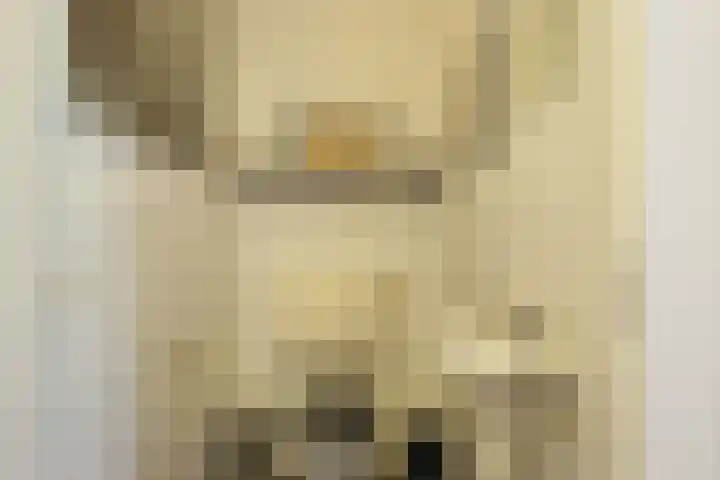Crabethstraat 9 E Eindhoven thumbnail 36