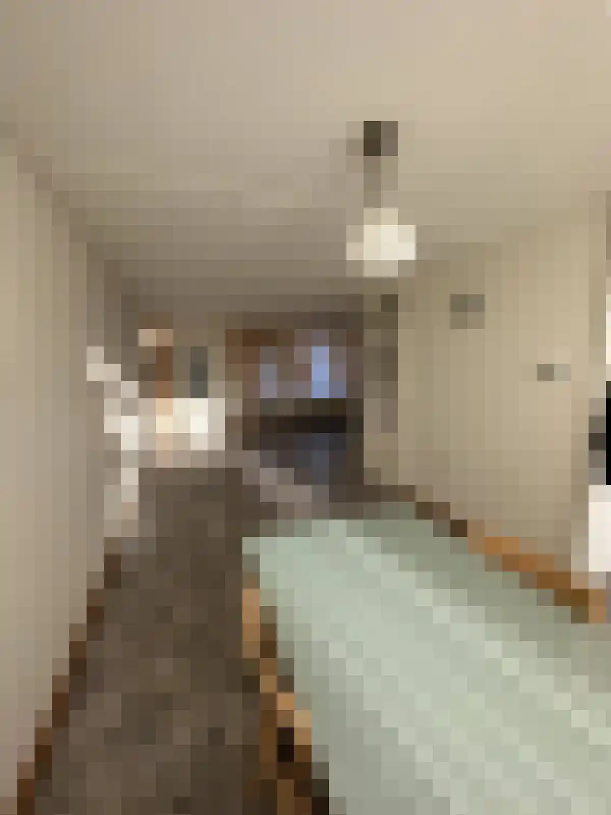 Crabethstraat 9 Eindhoven thumbnail 5
