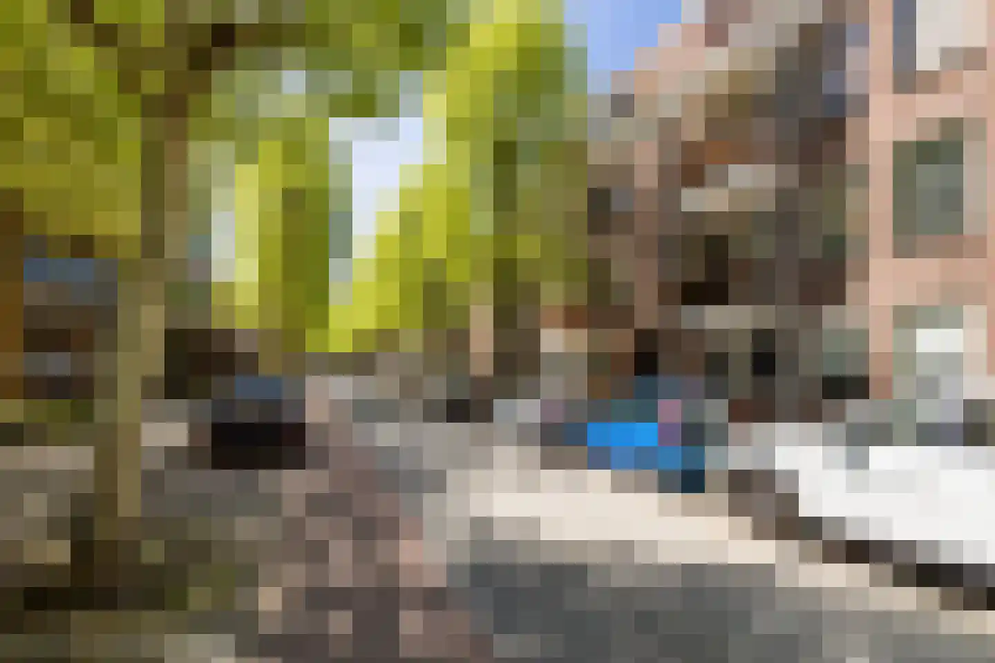 Crabethstraat 95 Gouda thumbnail 5