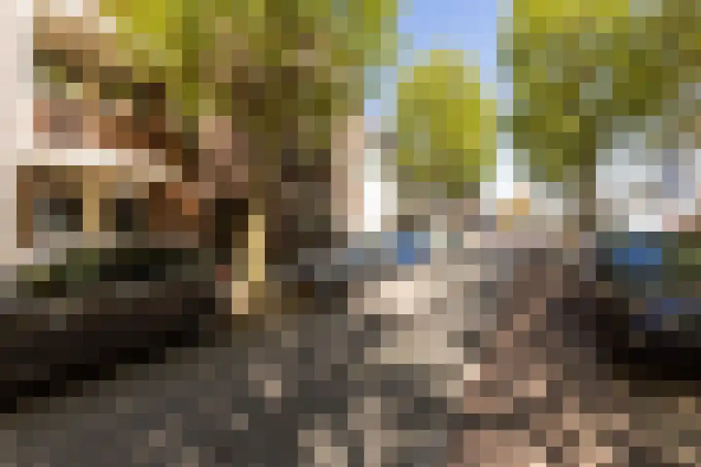 Crabethstraat 95 Gouda thumbnail 6