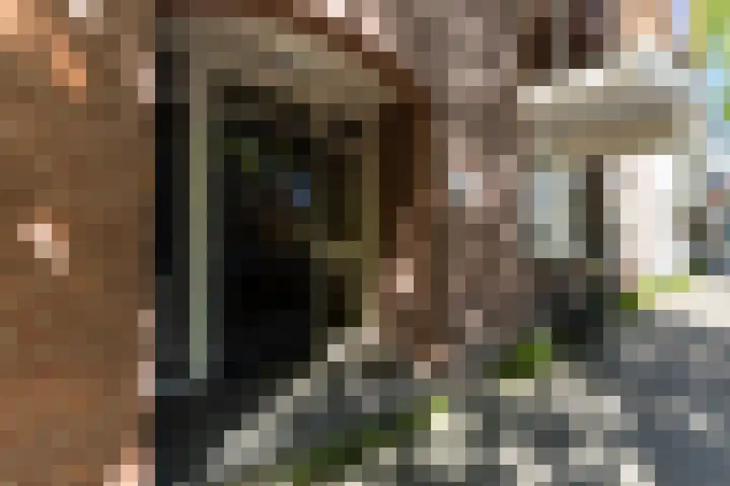Crabethstraat 95 Gouda thumbnail 7