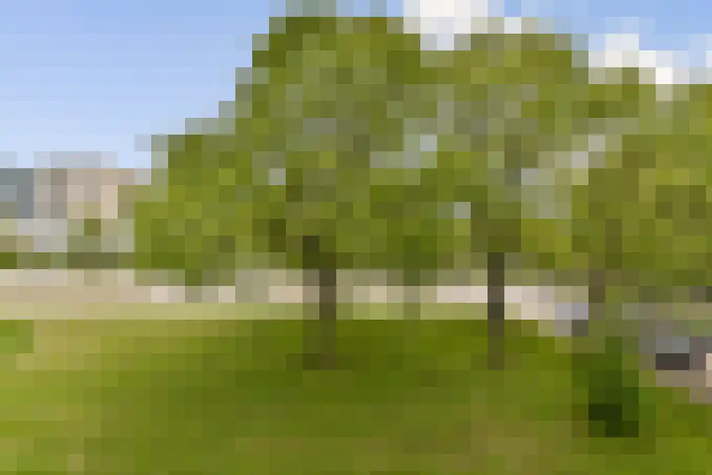 Crack-State 33 Amsterdam thumbnail 16