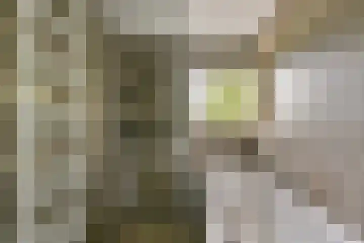 Crack-State 47 Amsterdam thumbnail 15