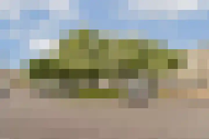 Crack-State 47 Amsterdam thumbnail 27