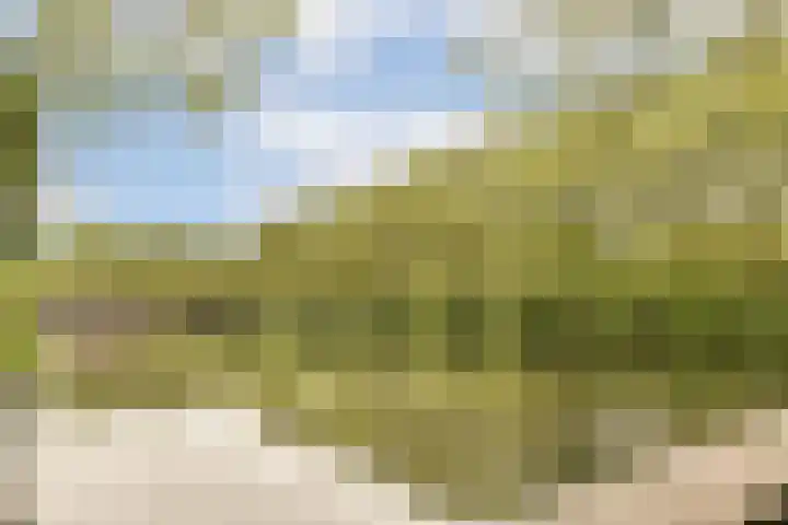 Crack-State 47 Amsterdam thumbnail 31