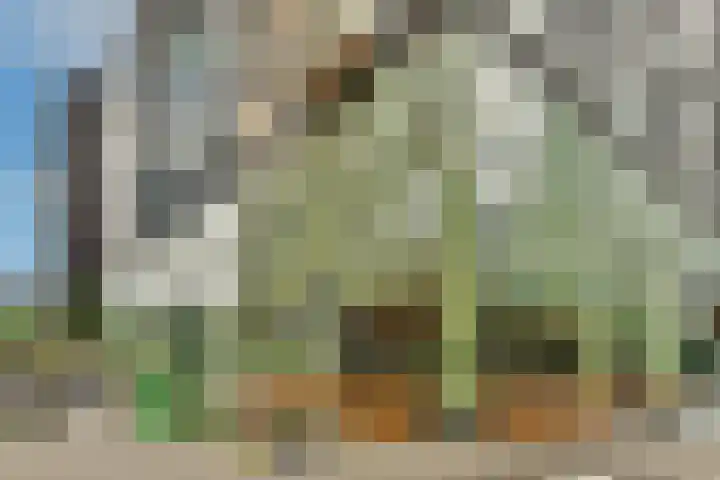 Crack-State 47 Amsterdam thumbnail 32