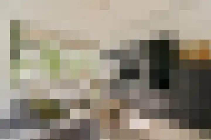 Crack-State 47 Amsterdam thumbnail 6