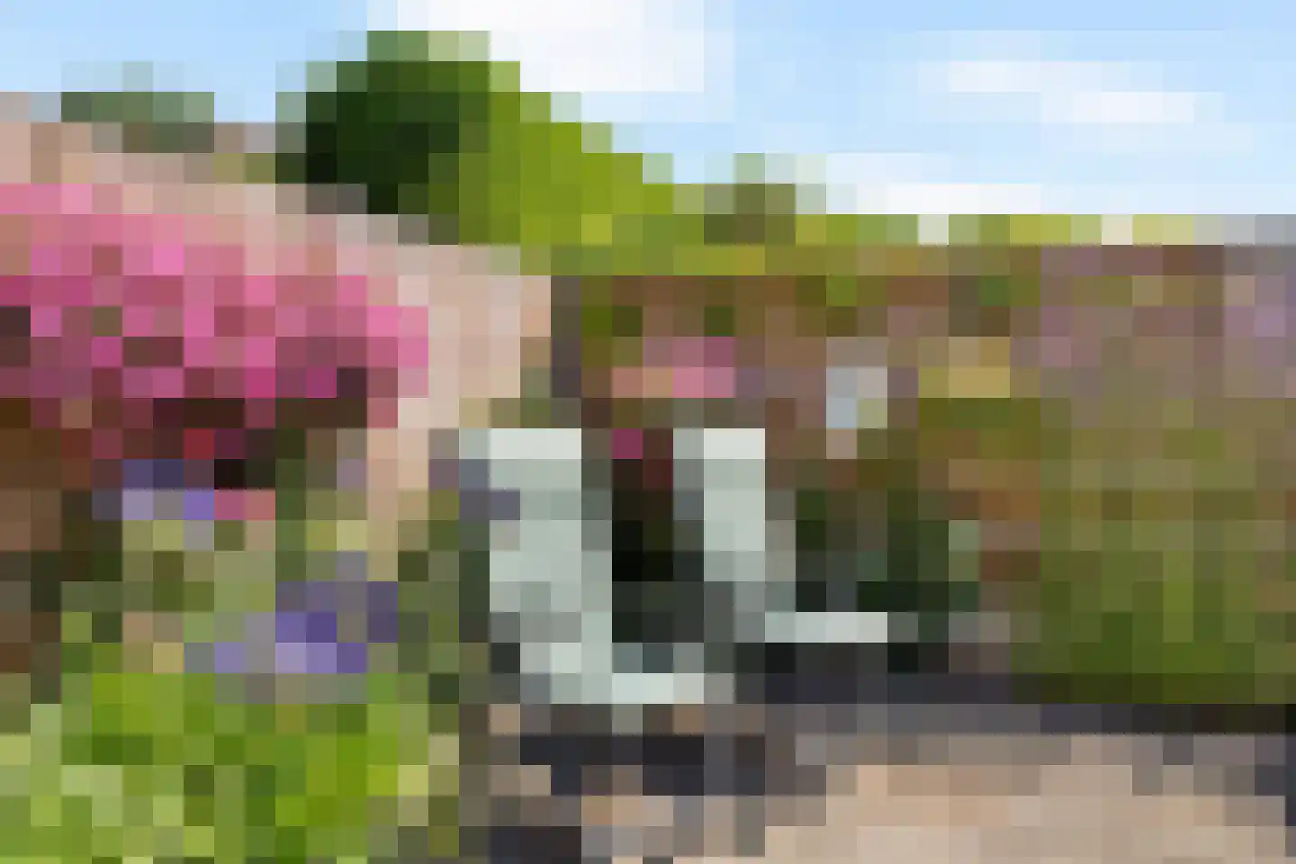 Crackstate 19 Leeuwarden thumbnail 17