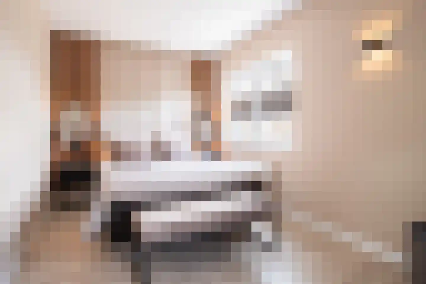 Craenberglaan 12 Herkenbosch thumbnail 12