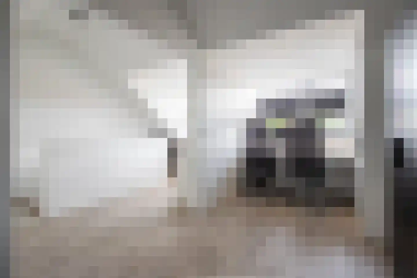 Craenberglaan 12 Herkenbosch thumbnail 21