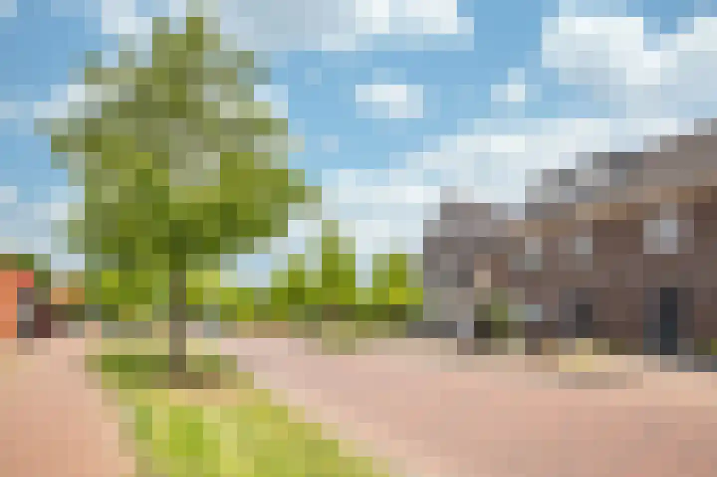 Craenberglaan 12 Herkenbosch thumbnail 29