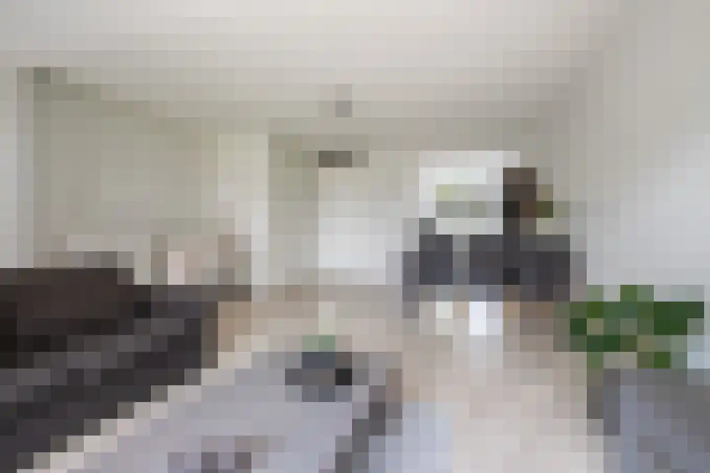Craenberglaan 12 Herkenbosch thumbnail 5
