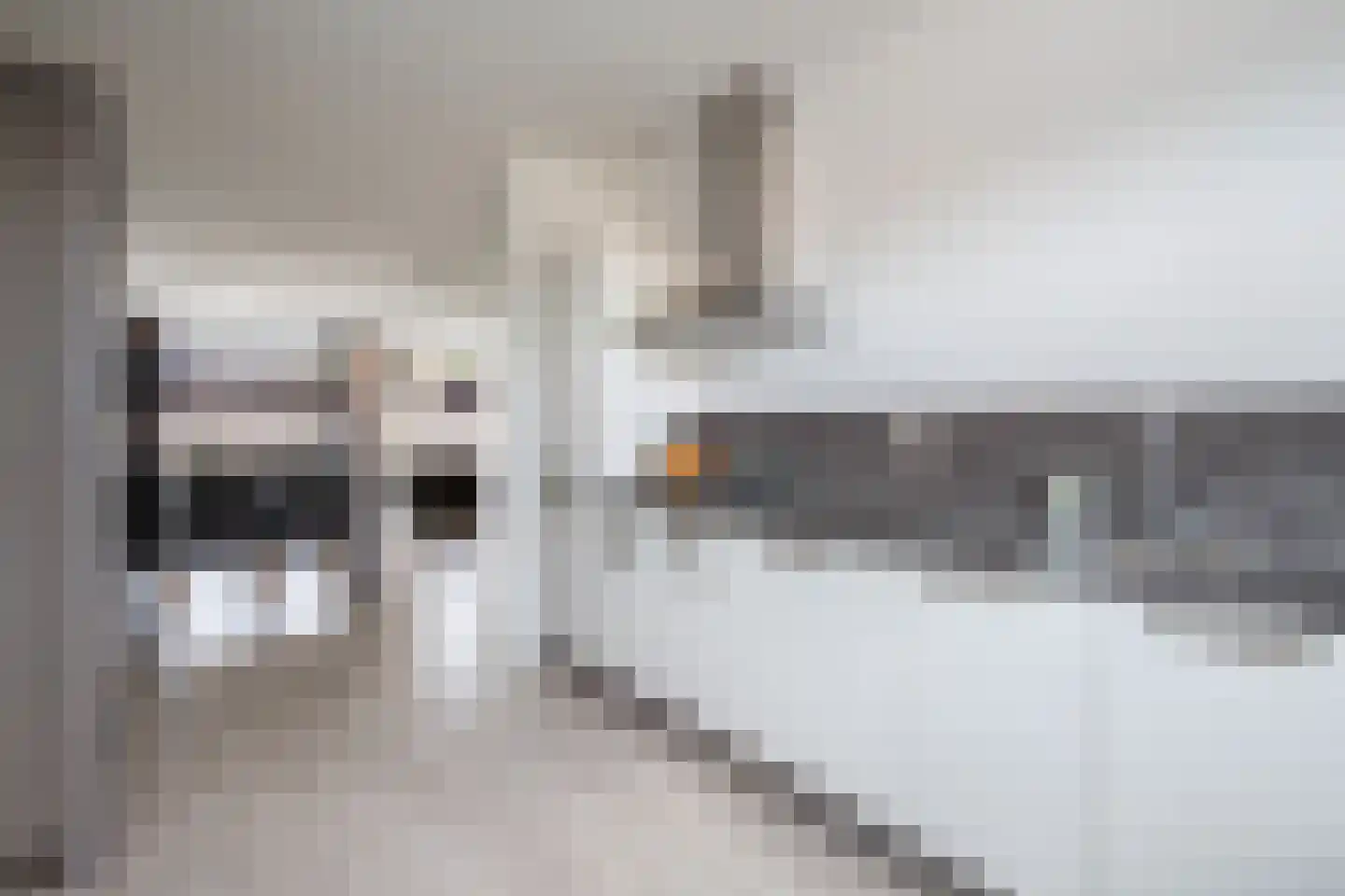 Craenberglaan 12 Herkenbosch thumbnail 8