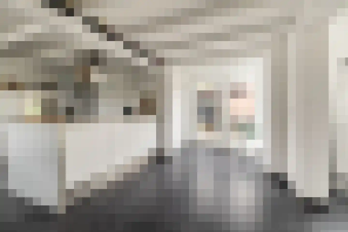 Craenlaer 9 Ulvenhout thumbnail 12