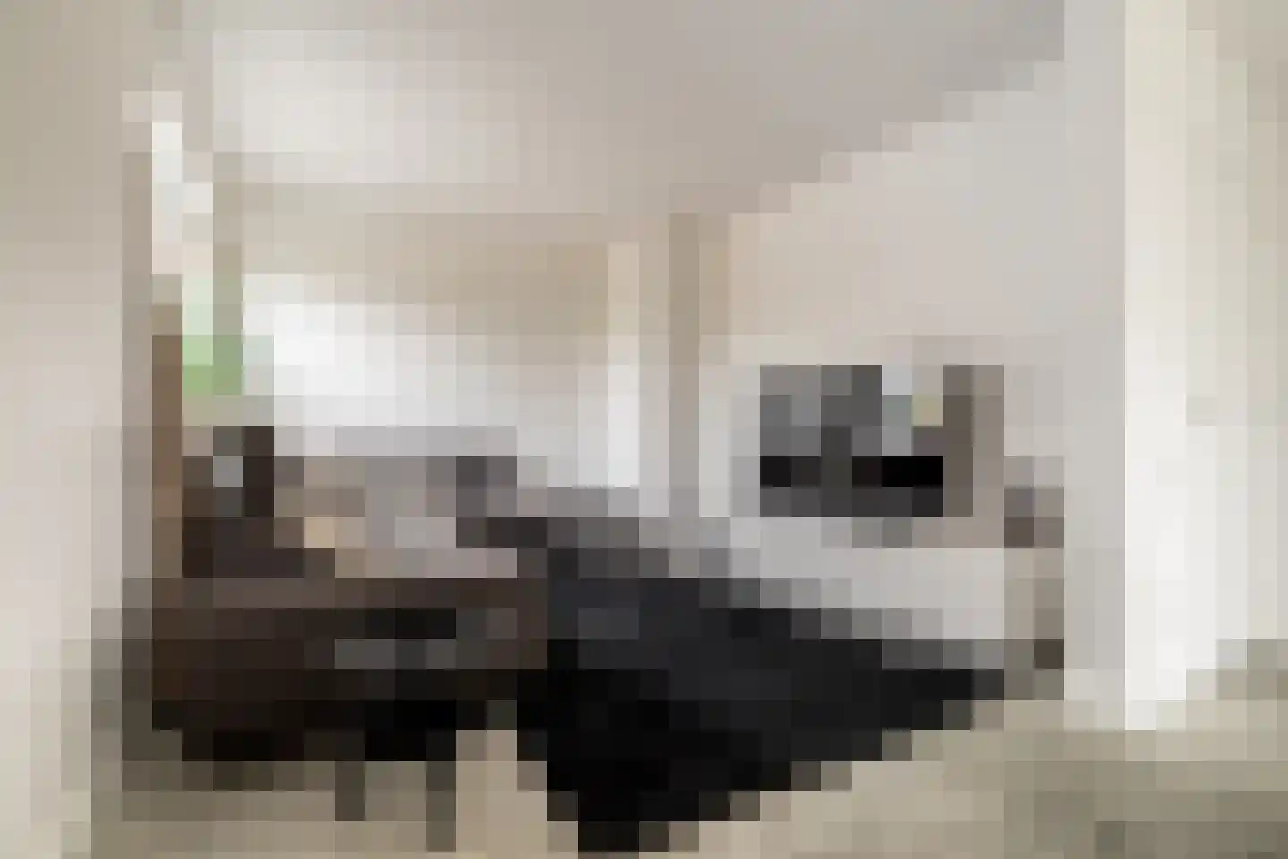 Craenlaer 9 Ulvenhout thumbnail 21