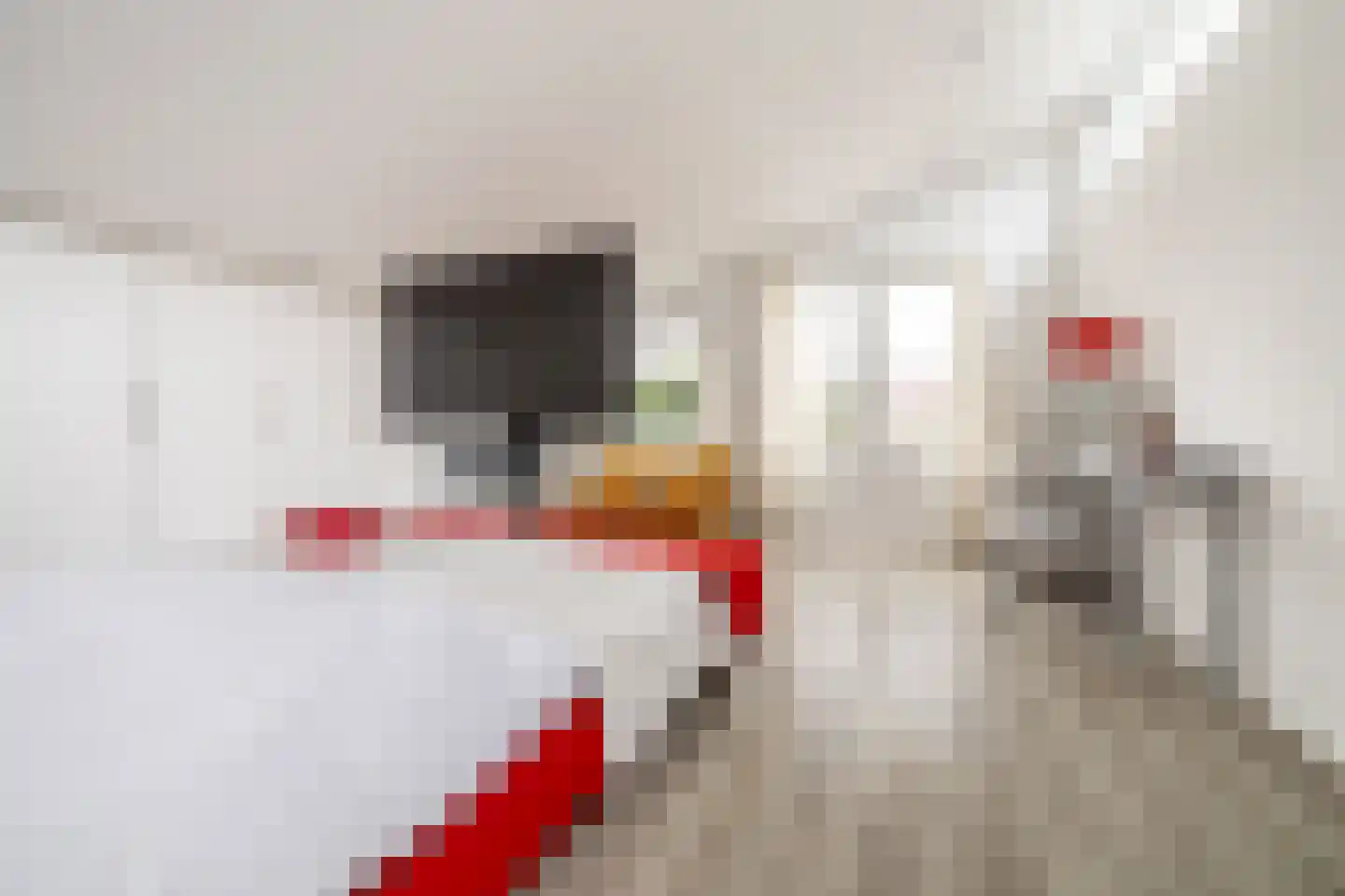 Craenlaer 9 Ulvenhout thumbnail 30