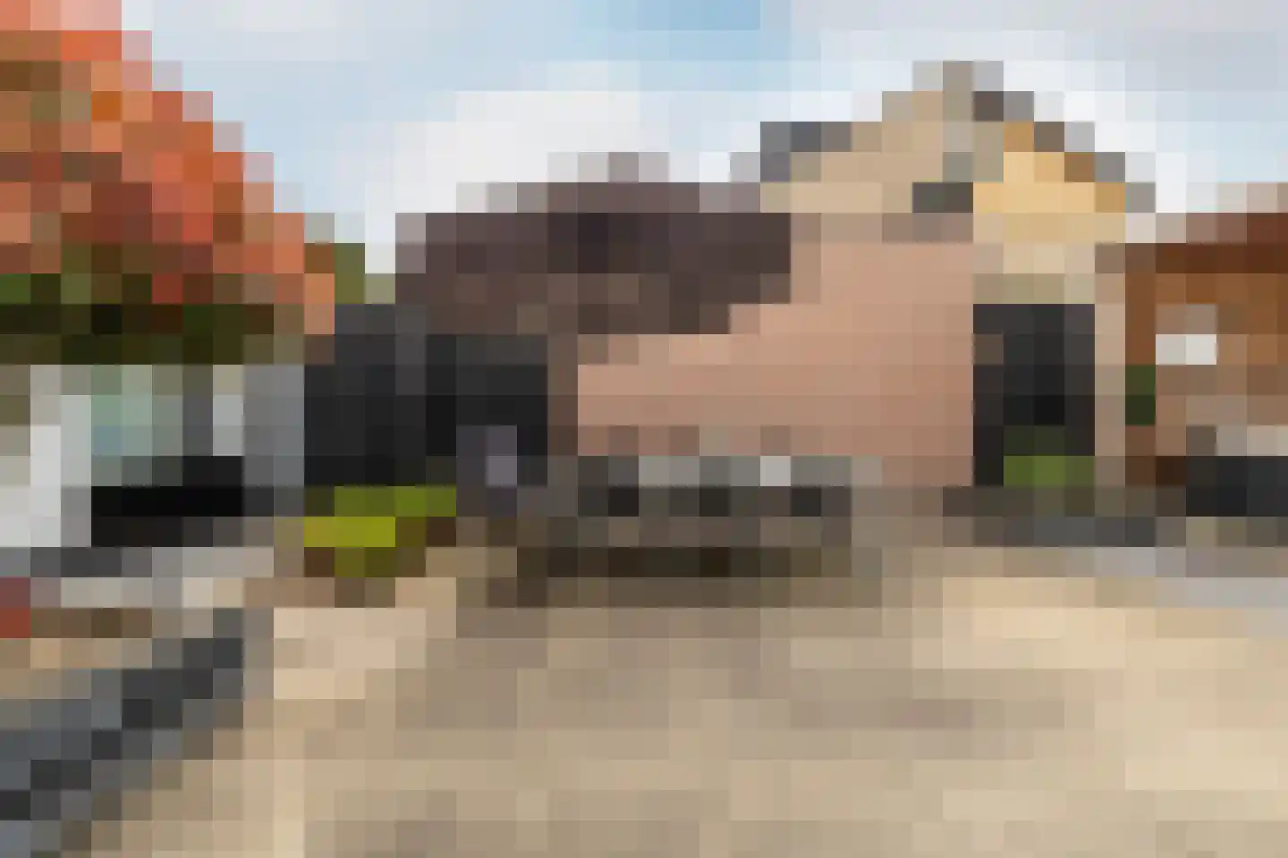 Craenlaer 9 Ulvenhout thumbnail 39