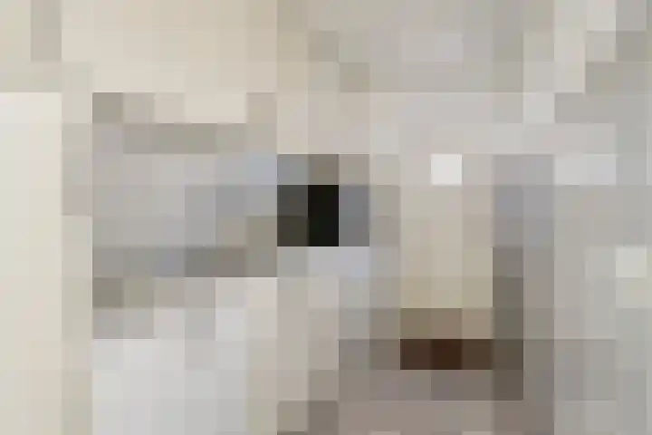 Craenweide 26 Berkel-Enschot thumbnail 14