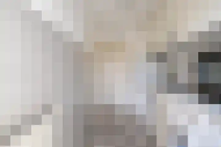 Craenweide 26 Berkel-Enschot thumbnail 15