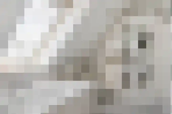 Craenweide 26 Berkel-Enschot thumbnail 23