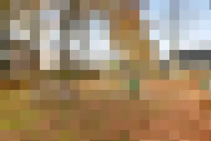 Craenweide 26 Berkel-Enschot thumbnail 38