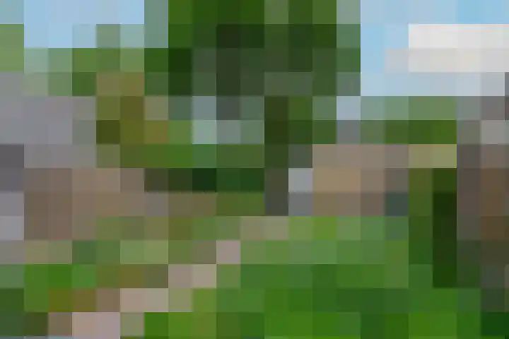 Craenweide 52 Berkel-Enschot thumbnail 19