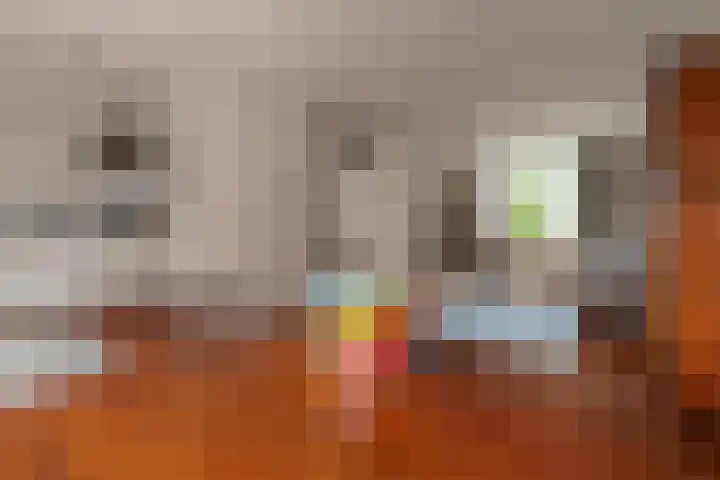 Craenweide 52 Berkel-Enschot thumbnail 4