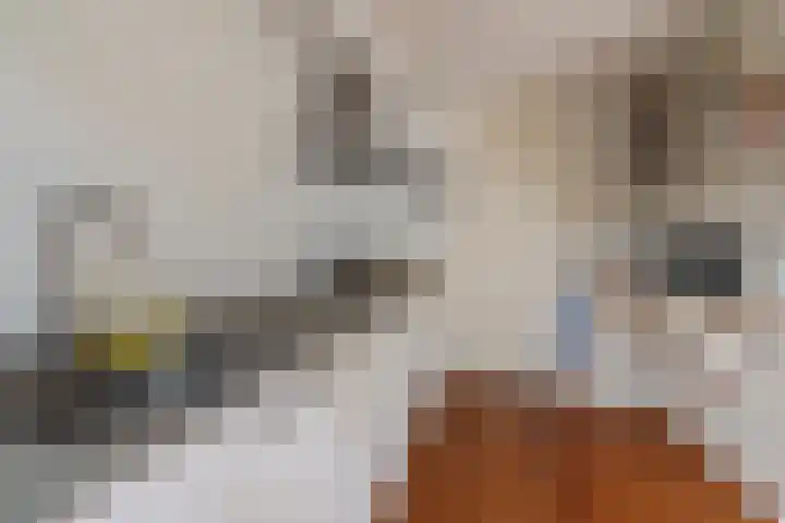 Craenweide 52 Berkel-Enschot thumbnail 9