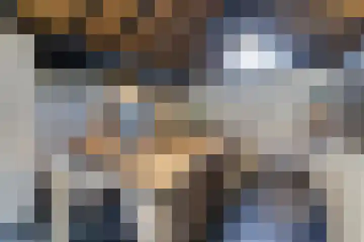 Craeyenbergh 3 Overasselt thumbnail 10