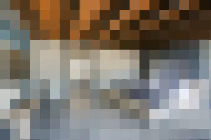 Craeyenbergh 3 Overasselt thumbnail 13