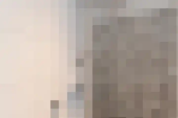 Craeyenbergh 3 Overasselt thumbnail 19