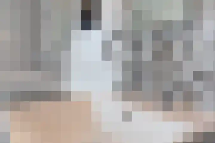 Craeyenbergh 3 Overasselt thumbnail 20