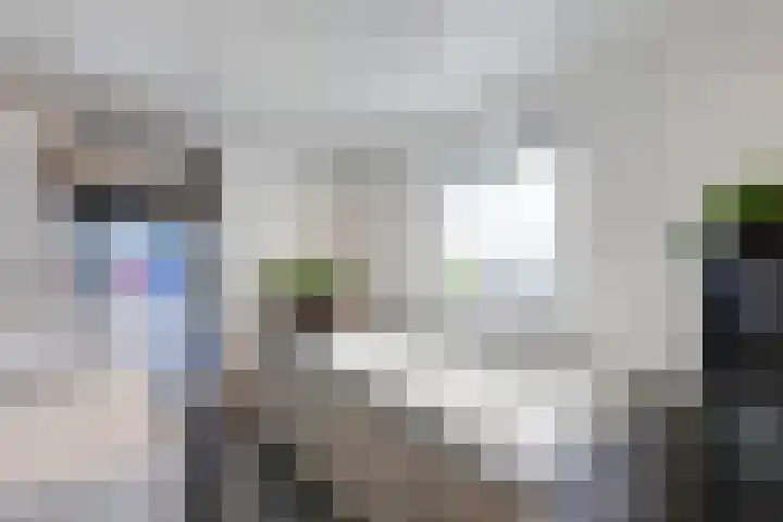 Craeyenbergh 3 Overasselt thumbnail 21