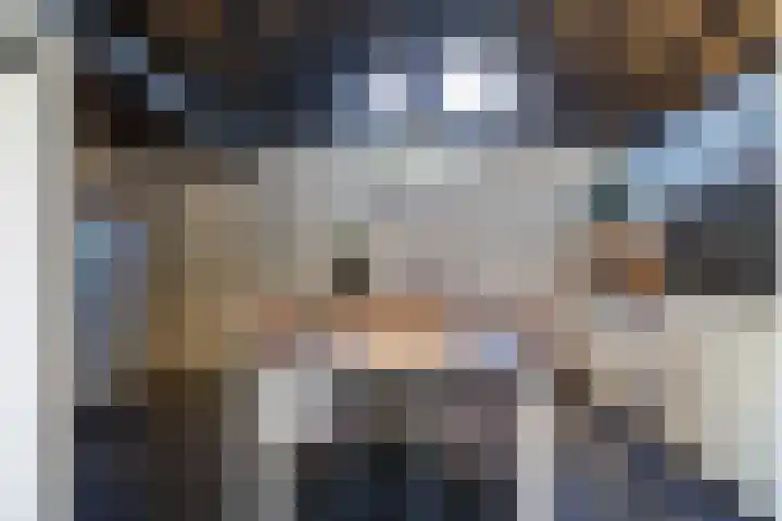 Craeyenbergh 3 Overasselt thumbnail 23