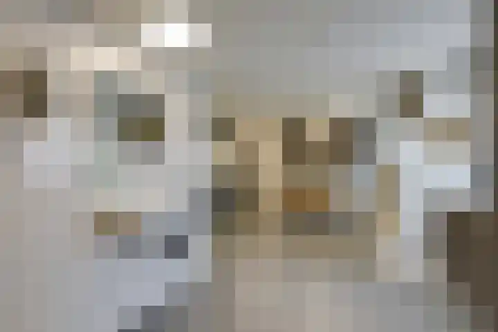 Craeyenbergh 3 Overasselt thumbnail 24