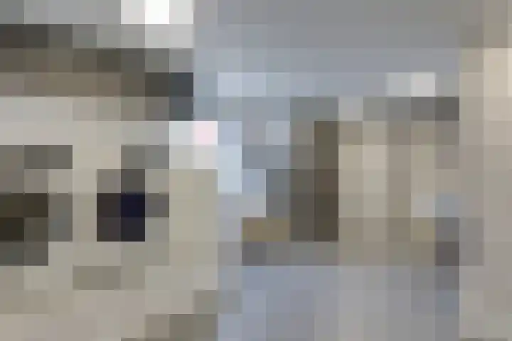 Craeyenbergh 3 Overasselt thumbnail 25